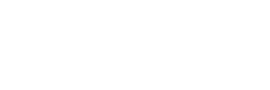 vrsnrun